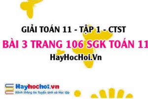 Giải bài 3 trang 106 Toán 11 tập 1 SGK Chân trời sáng tạo